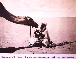 Images d'Algerie 084